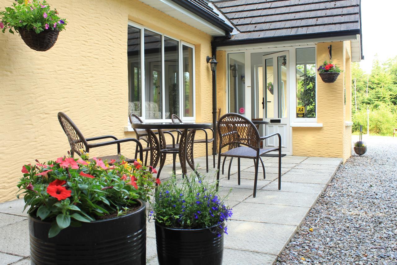 Pinewood Lodge Laragh Extérieur photo