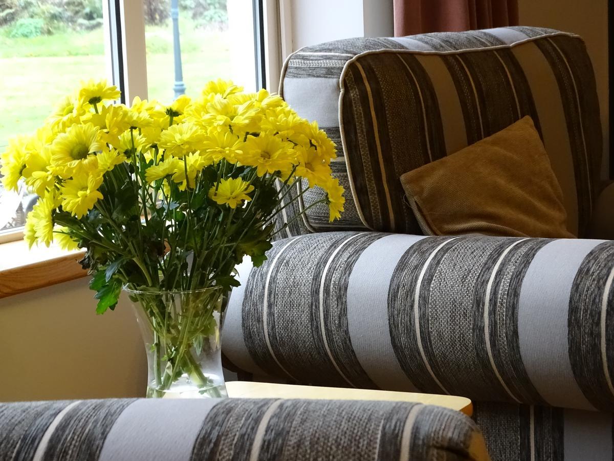 Pinewood Lodge Laragh Extérieur photo
