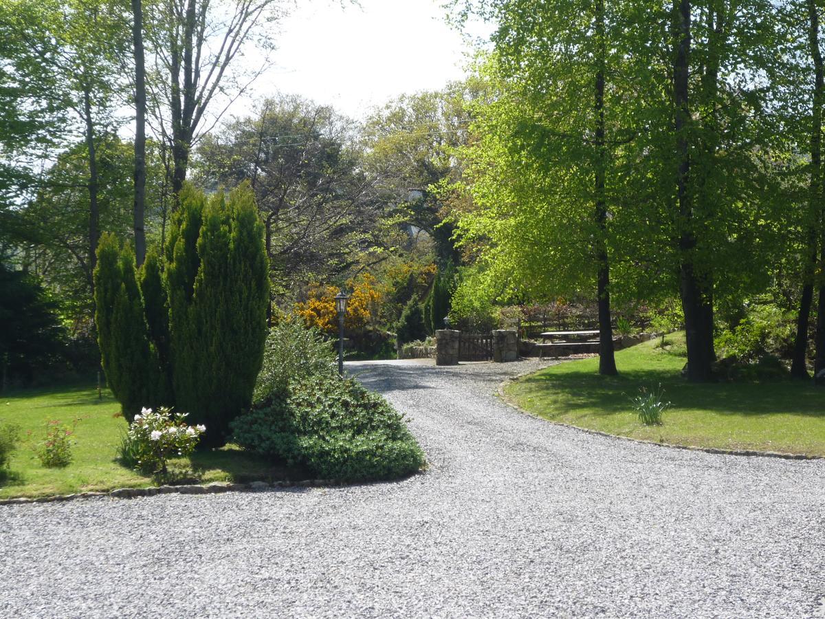 Pinewood Lodge Laragh Extérieur photo